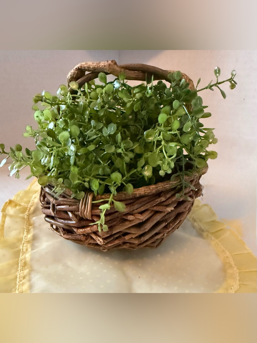 Twig Basket Small Size primitive style
